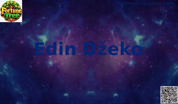 Edin Džeko en el terreno de juego