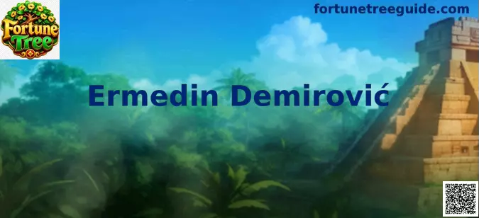 Ermedin Demirović en acción