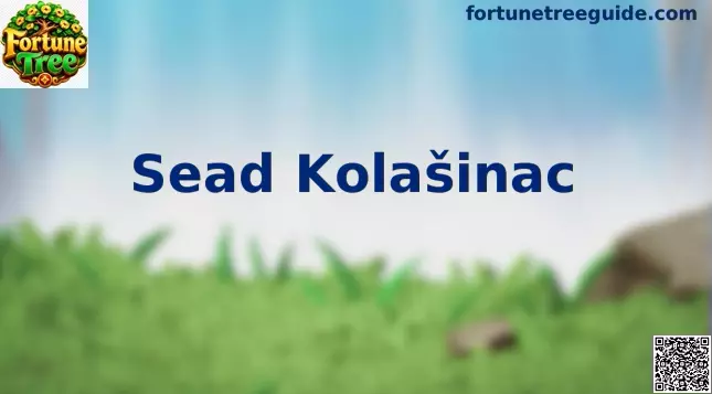 Sead Kolašinac en acción